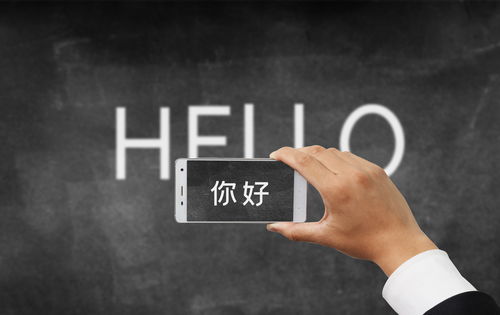 邯鄲軟件定制開(kāi)發(fā)與外包服務(wù) 以萬(wàn)幫為例的行業(yè)洞察